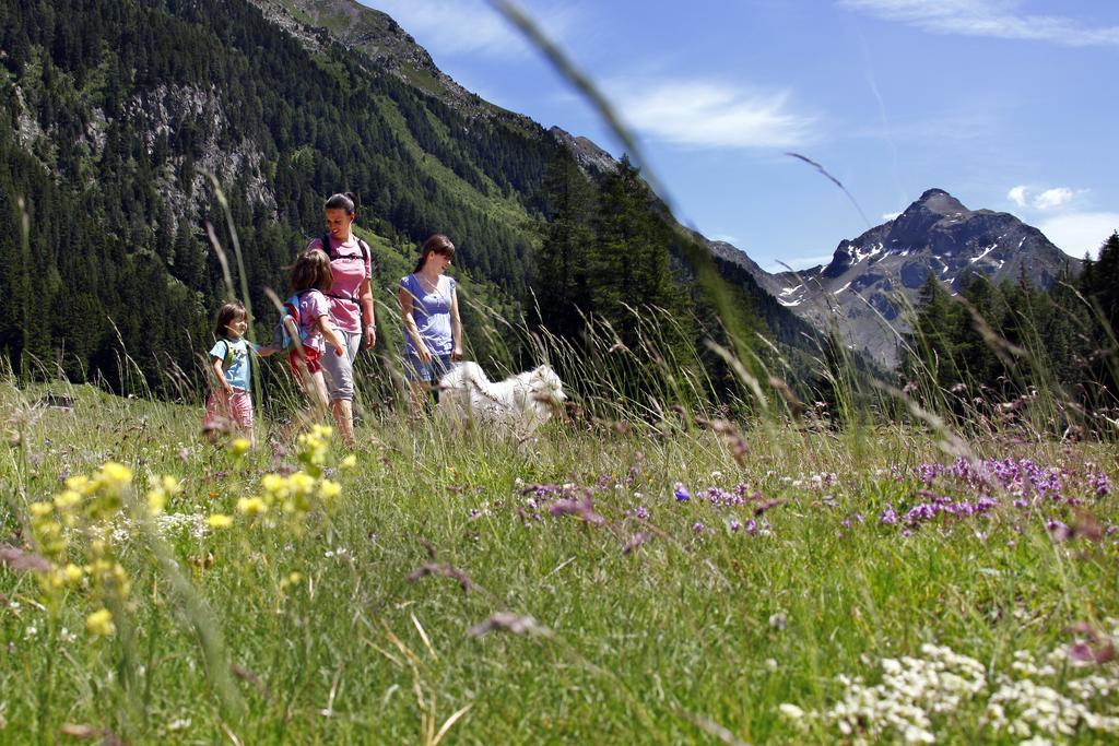 Dolomiti Con Piscina E Sauna Apartment *